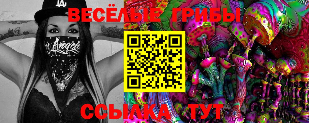 Галлюциногенные грибы Cubensis Асбест